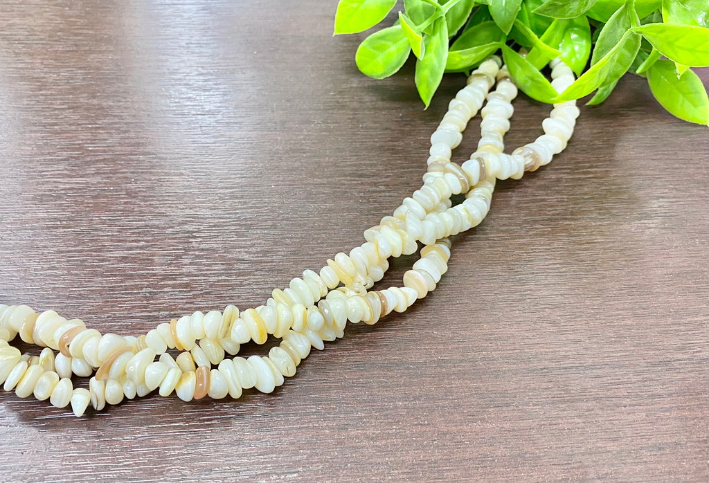 Natural Shell beads