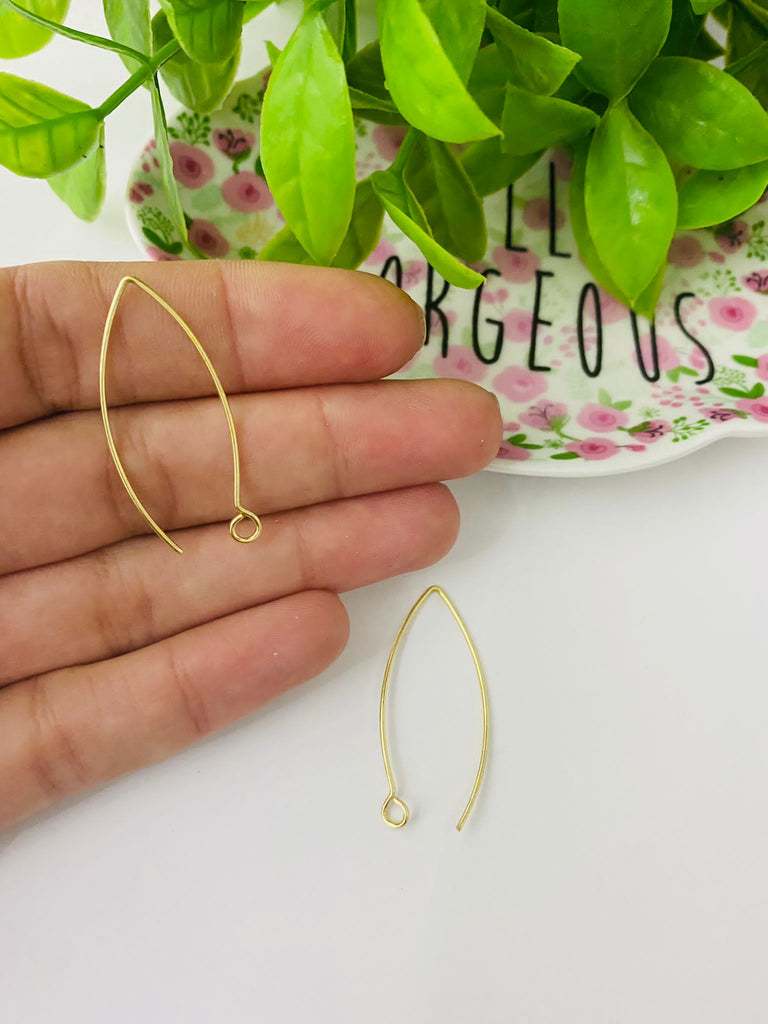 Earring Long Hooks